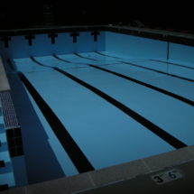 A swimming pool with blue water and black lines.