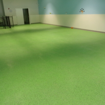A room with green floor and blue wall.